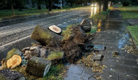 Večerní bouřky v Olomouci a Olomouckém kraji lámaly stromy, zaplavovaly cesty, sklepy