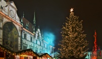 Olomoucká Rolnička se účastní soutěže o nejhezčí vánoční strom České republiky