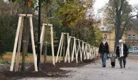 Brigádníci si s alejí poradili, nové stromy už lemují promenádu Brigádníci si s alejí poradili, nové stromy už lemují promenádu