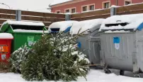 Byl zahájen svoz vánočních stromků Byl zahájen svoz vánočních stromků