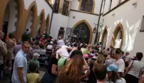 Podhoubí pestrého programu Ekologických dnů Olomouc 2013 prorůstá do stokorcového lesa Podhoubí pestrého programu Ekologických dnů Olomouc 2013 prorůstá do stokorcového lesa