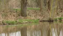 Kvůli dešti a tání sněhu mohou stoupat hladiny řek Kvůli dešti a tání sněhu mohou stoupat hladiny řek