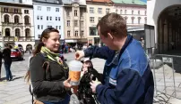 Zasukované tkaničky opět pomáhají Zasukované tkaničky opět pomáhají