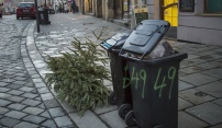 Svoz vánočních stromků v Olomouci začne v úterý 7. ledna