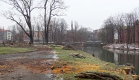 Stromy musí ustoupit realizaci protipovodňových opatření ve městě