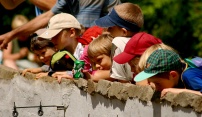 Město nově udělí titul „Osobnost volnočasových aktivit pro děti a mládež“