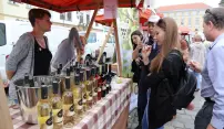 Jarní Olomoucké vinné slavnosti jsou letos dvoudenní Jarní Olomoucké vinné slavnosti jsou letos dvoudenní