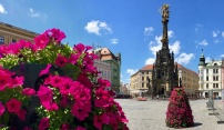 Olomoucké Horní náměstí oživují květinové pyramidy