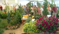 Jubilejní letní Flora Olomouc 2008 „Umění v rozkvetlé zahradě“