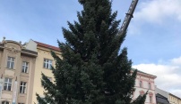Vánoční strom už zdobí Horní náměstí