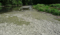 Na Moravě vysychají potoky a klesají podzemní vody