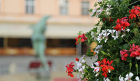 Horní náměstí vyzdobí v létě dvojnásobek pestrých květin