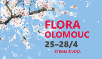 Symbol stromu propojí expozice jarní Flory Olomouc 2019