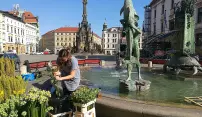 Arionova kašna rozkvetla. Chystá se na barokní večery Arionova kašna rozkvetla. Chystá se na barokní večery