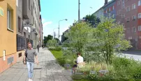 Zelenější a příjemnější bude od příštího roku olomoucká Masarykova třída Zelenější a příjemnější bude od příštího roku olomoucká Masarykova třída