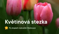 Květinovou stezkou za krásami Olomouce Květinovou stezkou za krásami Olomouce