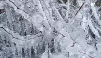Pozor! Meteorologové varují před silnou námrazou Pozor! Meteorologové varují před silnou námrazou