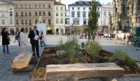 Olomouc slaví svátek stromů