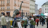 Olomoucký rekord má hodnotu 255 kilogramů