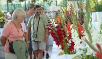 Letní Flora Olomouc 2008 - Umění v rozkvetlé zahradě