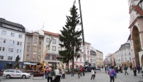 Na Horním náměstí už stojí vánoční strom