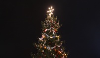 Vánoční strom bude stát na náměstí již zítra