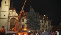 Na náměstí už stojí vánoční strom