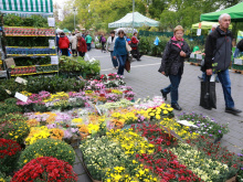 Podzimní Flora Olomouc jako tržiště první republiky | Foto: Blanka Martinovská