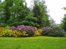 Překrásné barvy jarních květů lázeňského parku